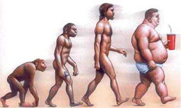 EVOLUCION HUMANA B